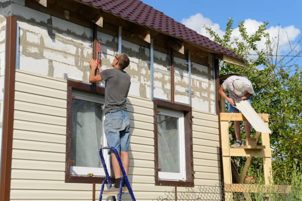 Best Insulated Siding Installation  in Chadron, NE